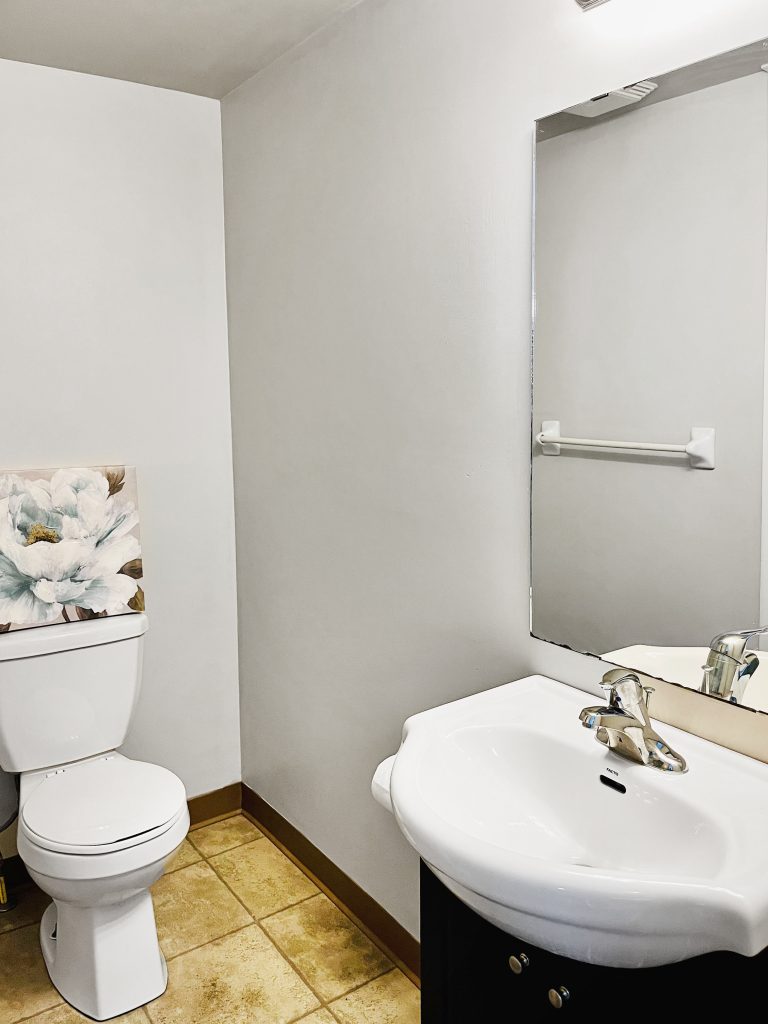 standard bathroom with toilet and sink